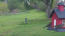 /Birds//Thumbs//dhm20250406-095554.png 