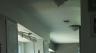 /Birds//Thumbs//dhm20250425-051731-2.png 
