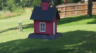 /Birds//Thumbs//dhm20250616-144728.png 