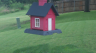 /Birds//Thumbs//dhm20250713-111533.png 