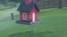 /Birds//Thumbs//dhm20250715-073936.png 