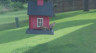 /Birds//Thumbs//dhm20250715-092404.png 