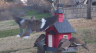 /Birds//Thumbs//found20250213-075649.png 