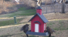 /Birds//Thumbs//found20250213-082343.png 
