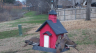 /Birds//Thumbs//found20250213-143223.png 