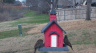 /Birds//Thumbs//found20250213-153952.png 