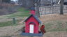 /Birds//Thumbs//found20250213-154913.png 
