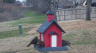 /Birds//Thumbs//found20250213-162211.png 