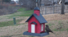 /Birds//Thumbs//found20250213-164221.png 
