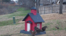 /Birds//Thumbs//found20250213-164233.png 