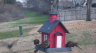 /Birds//Thumbs//found20250214-073101.png 