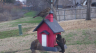 /Birds//Thumbs//found20250214-074157.png 