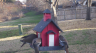 /Birds//Thumbs//found20250214-083402.png 