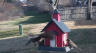 /Birds//Thumbs//found20250214-091959.png 