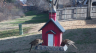 /Birds//Thumbs//found20250214-093529.png 