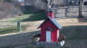 /Birds//Thumbs//found20250214-093623.png 