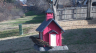 /Birds//Thumbs//found20250214-093928.png 
