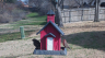/Birds//Thumbs//found20250214-105726.png 