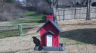 /Birds//Thumbs//found20250214-110459.png 