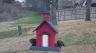 /Birds//Thumbs//found20250214-113607.png 