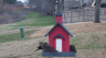 /Birds//Thumbs//found20250214-114558.png 