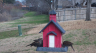 /Birds//Thumbs//found20250214-121140.png 
