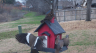 /Birds//Thumbs//found20250214-150430.png 