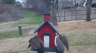 /Birds//Thumbs//found20250214-151347.png 