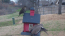 /Birds//Thumbs//found20250214-151608.png 
