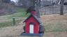 /Birds//Thumbs//found20250214-151626.png 