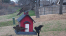 /Birds//Thumbs//found20250214-151838.png 