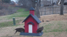 /Birds//Thumbs//found20250214-154106.png 