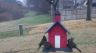 /Birds//Thumbs//found20250215-075849.png 