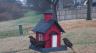 /Birds//Thumbs//found20250215-080520.png 