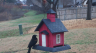/Birds//Thumbs//found20250215-091935.png 