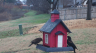 /Birds//Thumbs//found20250215-092104.png 