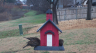 /Birds//Thumbs//found20250215-092354.png 