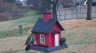 /Birds//Thumbs//found20250215-092504.png 
