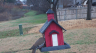 /Birds//Thumbs//found20250215-092634.png 