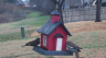 /Birds//Thumbs//found20250215-100054.png 