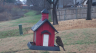/Birds//Thumbs//found20250215-100513.png 