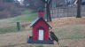 /Birds//Thumbs//found20250215-100519.png 