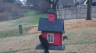 /Birds//Thumbs//found20250215-101117.png 