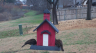 /Birds//Thumbs//found20250215-101811.png 
