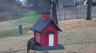 /Birds//Thumbs//found20250215-105028.png 