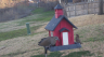 /Birds//Thumbs//found20250217-075033.png 
