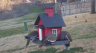 /Birds//Thumbs//found20250217-075753.png 