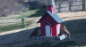 /Birds//Thumbs//found20250217-094739.png 