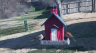 /Birds//Thumbs//found20250217-100249.png 
