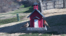 /Birds//Thumbs//found20250217-100256.png 